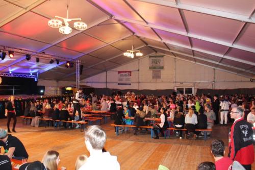 Hofball 2017 001