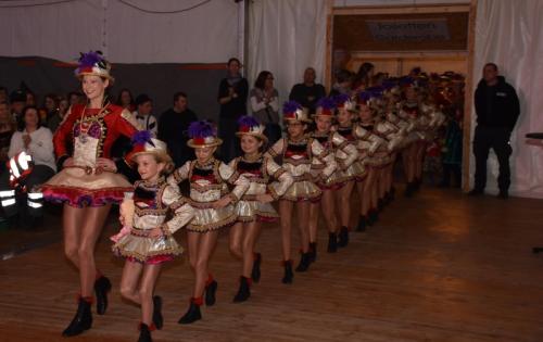 Hofball 2017 012