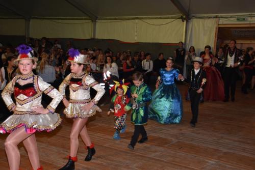 Hofball 2017 013